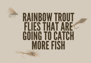 This pictures shows viewers what that this article is about Rainbow Trout Flies and what rainbow trout flies look like.