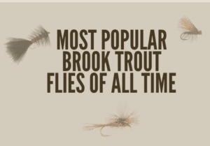 This picture shows the viewers what the article is about and what the most popular brook trout flies of all time look like.