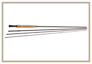 picture of the fenwick fenlite rod.