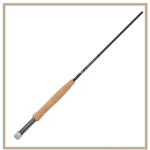 this is a picture of the fenwick aetos, a great fast action rod for beginners. 